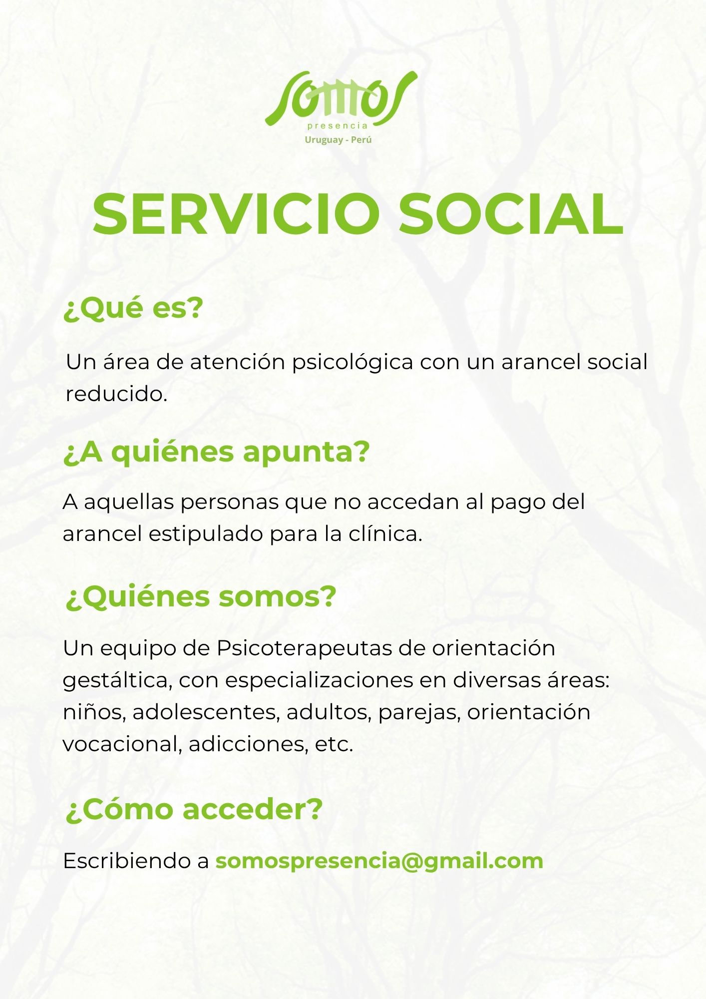 Servicio social flyer Servicio social flyer